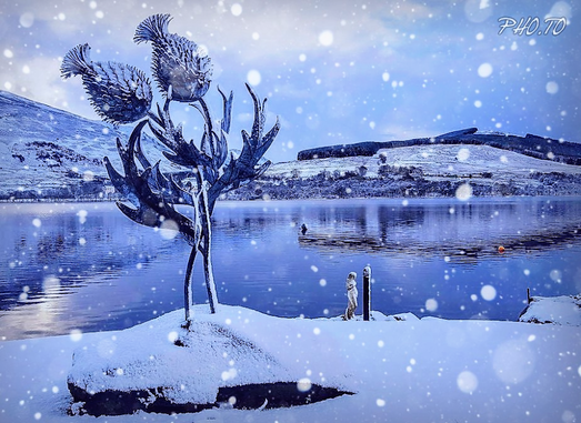 Winter wonderland at Briar Cottages on Loch Earn